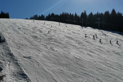 IMG-3473dac21c5aa7a2b7818ca36a29b6d6-V