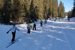 IMG_20250303_104604